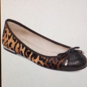 Vince Camuto Izella Ballet Flats